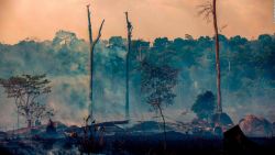 CNNE 698477 - ¿cuanto co2 emiten los incendios forestales en el mundo?