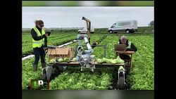 CNNE 698588 - vegebot- el robot que recoge lechugas sin aplastarlas