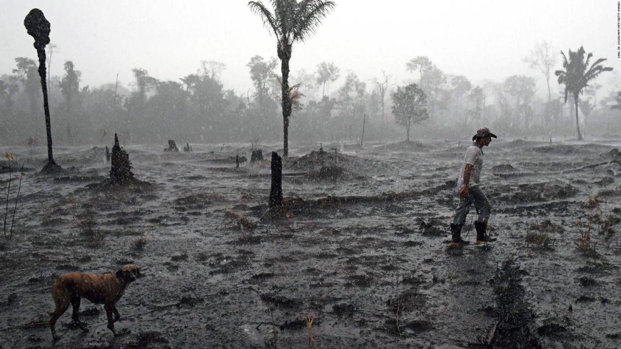 CNNE 699063 - incendios en el amazonas- diferencia entre hechos y redes