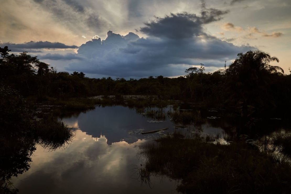 Vista general de un área de pantano fuera de la aldea de Mahwah, condado de Bong, Liberia, el 29 de noviembre de 2017. (AFP PHOTO / Hugh Kinsella Cunningham