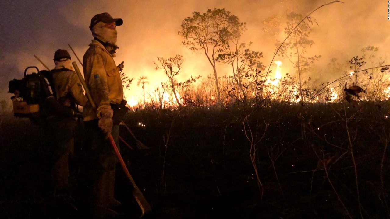 CNNE 700855 - ¿quien es responsable de los incendios en el amazonas?