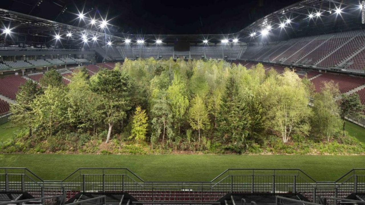 CNNE 701625 - estadio de futbol se transforma en tupido bosque