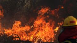 CNNE 701638 - incendios queman 2 millones de hectareas en bolivia