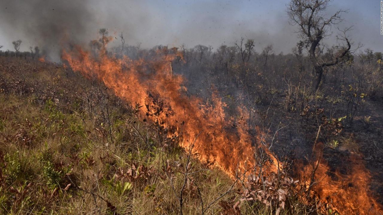 CNNE 701826 - hay riesgo de propagacion de incendios en bolivia