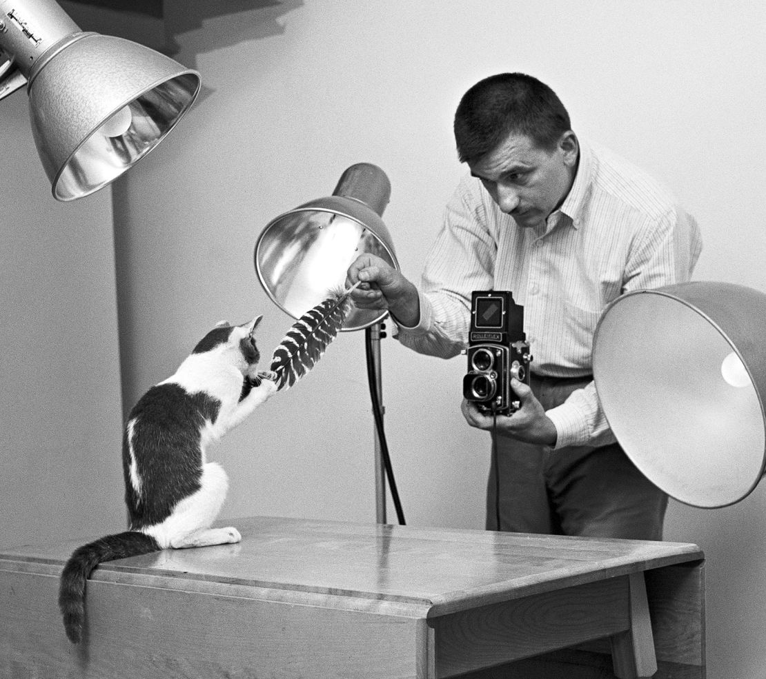 Walter Chandoha juega con uno de sus sujetos en el estudio de su casa en 1955.