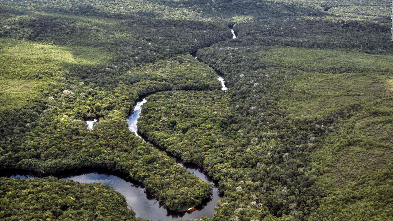 CNNE 704806 - lo que hay detras de la deforestacion del amazonas