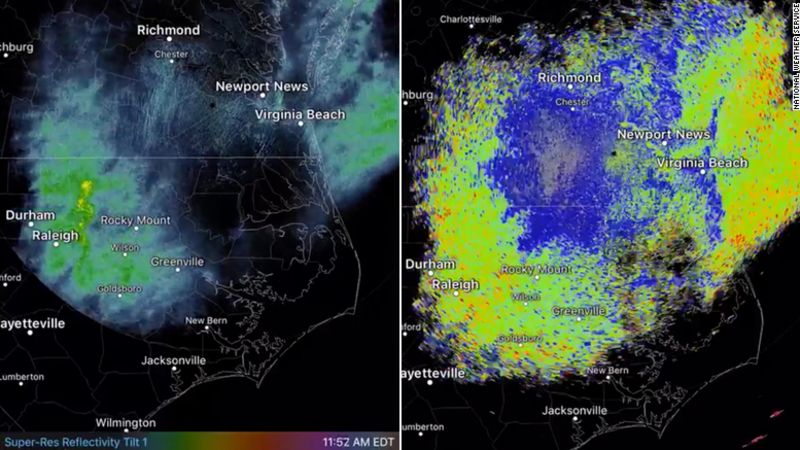 Hay tantas libélulas que aparecen en el radar meteorológico | cnn
