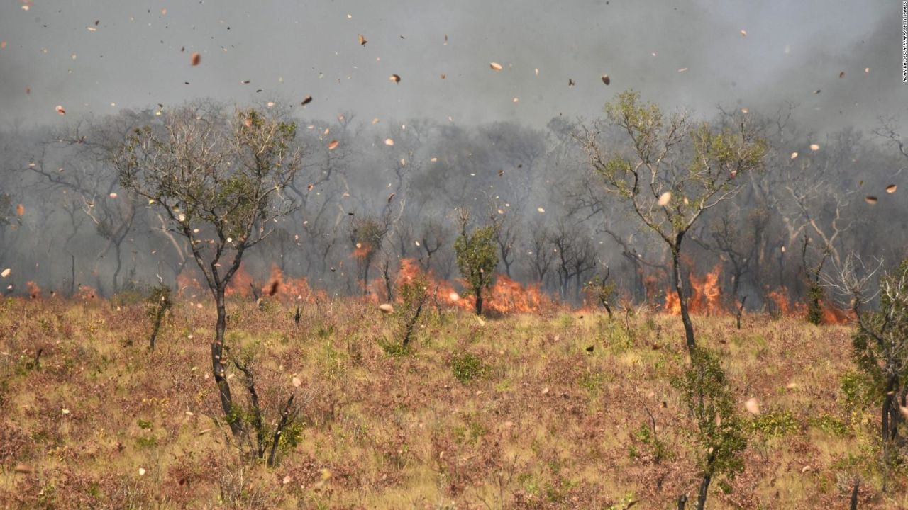 CNNE 707602 - ¿por que piden declarar la emergencia en paraguay?