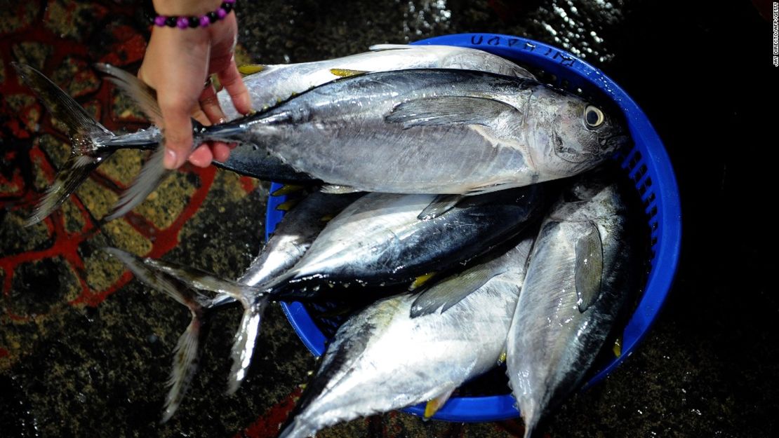 De acuerdo con el reporte, los cambios en los océanos podrían llevar a que haya menos alimento en los océanos.