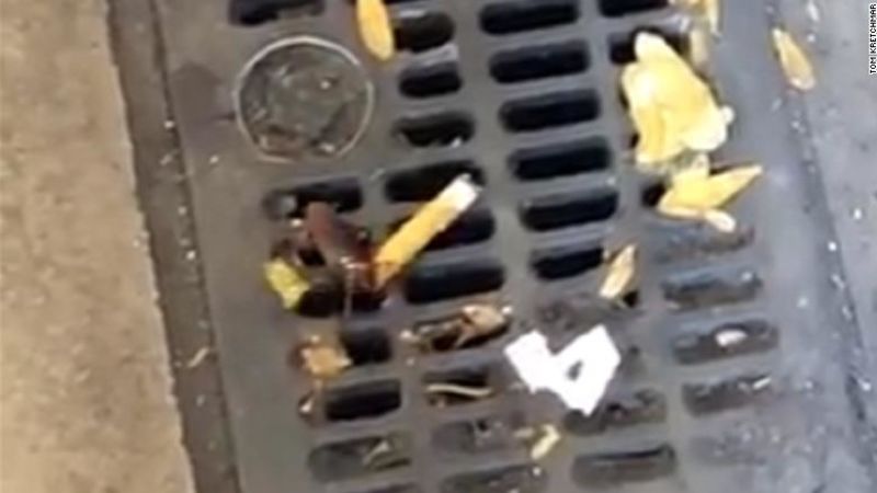 Hazte a un lado 'pizza rat'. Ya llega la cucaracha del cigarrillo, la nueva plaga viral de nueva york | cnn