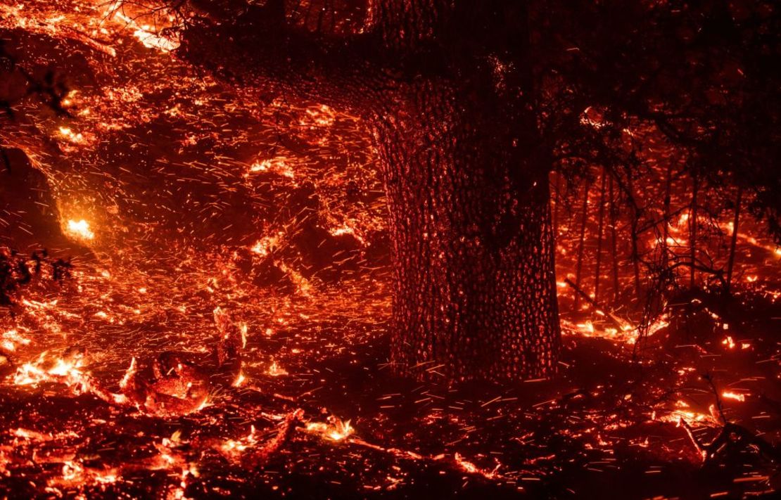 El incendio Kincade cerca a Geyserville, California. (Photo by Josh Edelson / AFP)