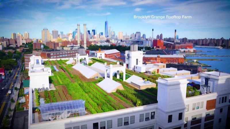 Nueva york crea huertos en sus terrazas | cnn