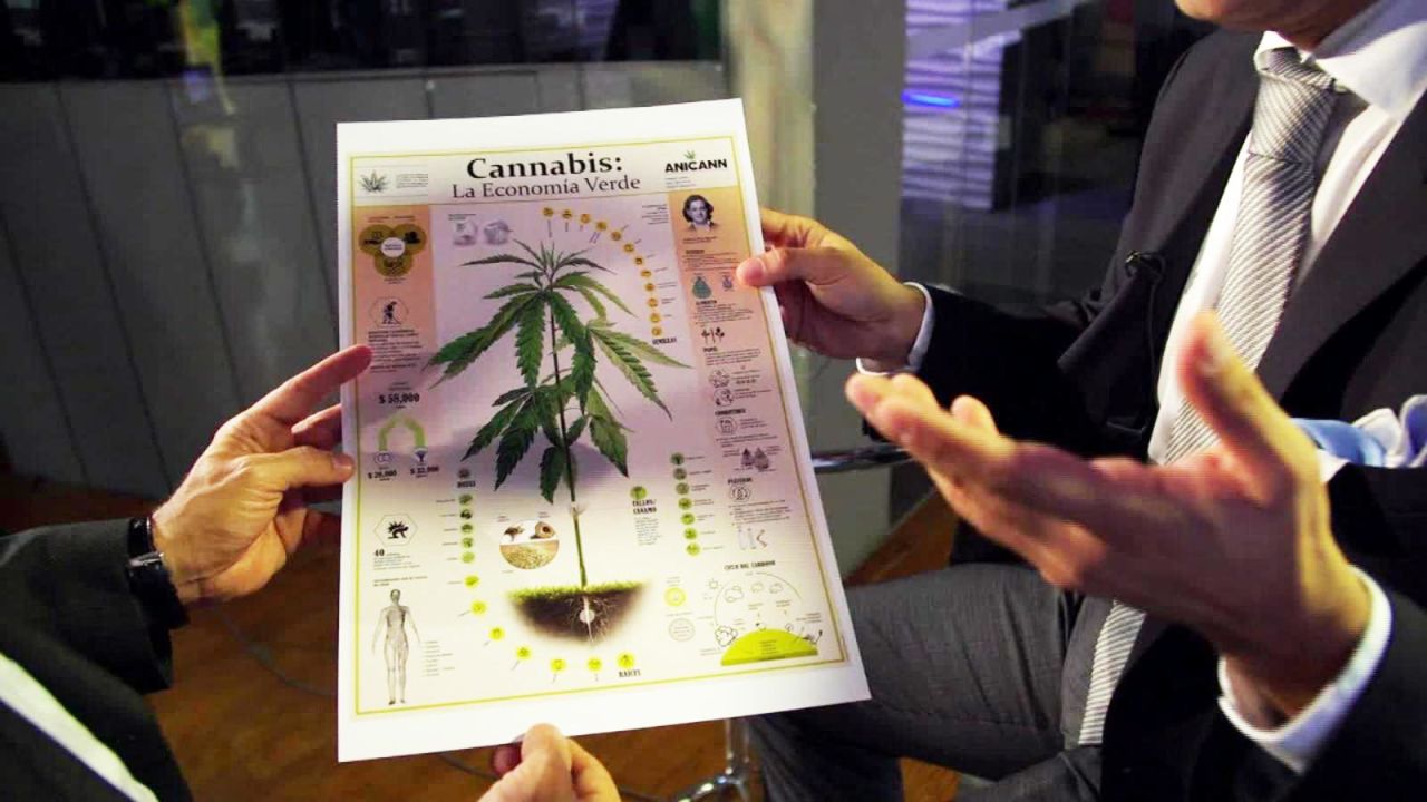 CNNE 724901 - legalizar marihuana generaria "miles de millones de dolares al ano"