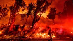 CNNE 726495 - ¿una pausa en los incendios en california?