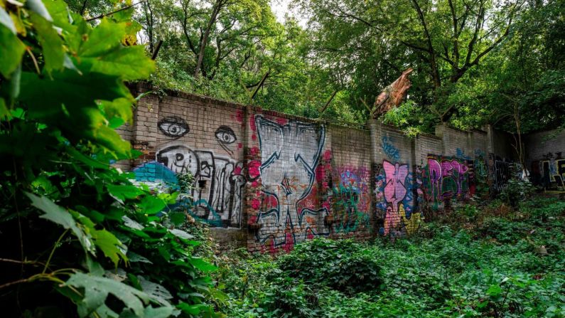 Un segmento cubierto de graffiti del Muro de Berlín original, fotografiado en septiembre de 2019. John Macdougall/AFP/Getty Images