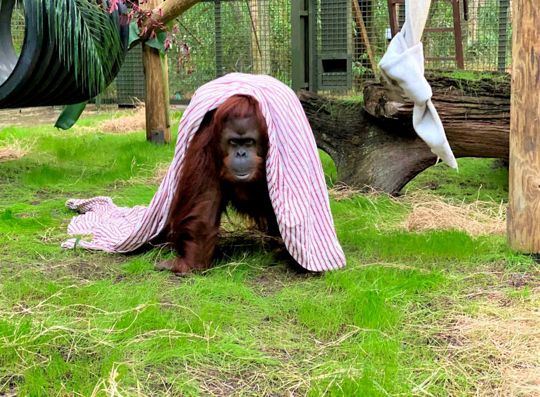 Sandra en su nuevo hogar el 6 de noviembre de 2019.