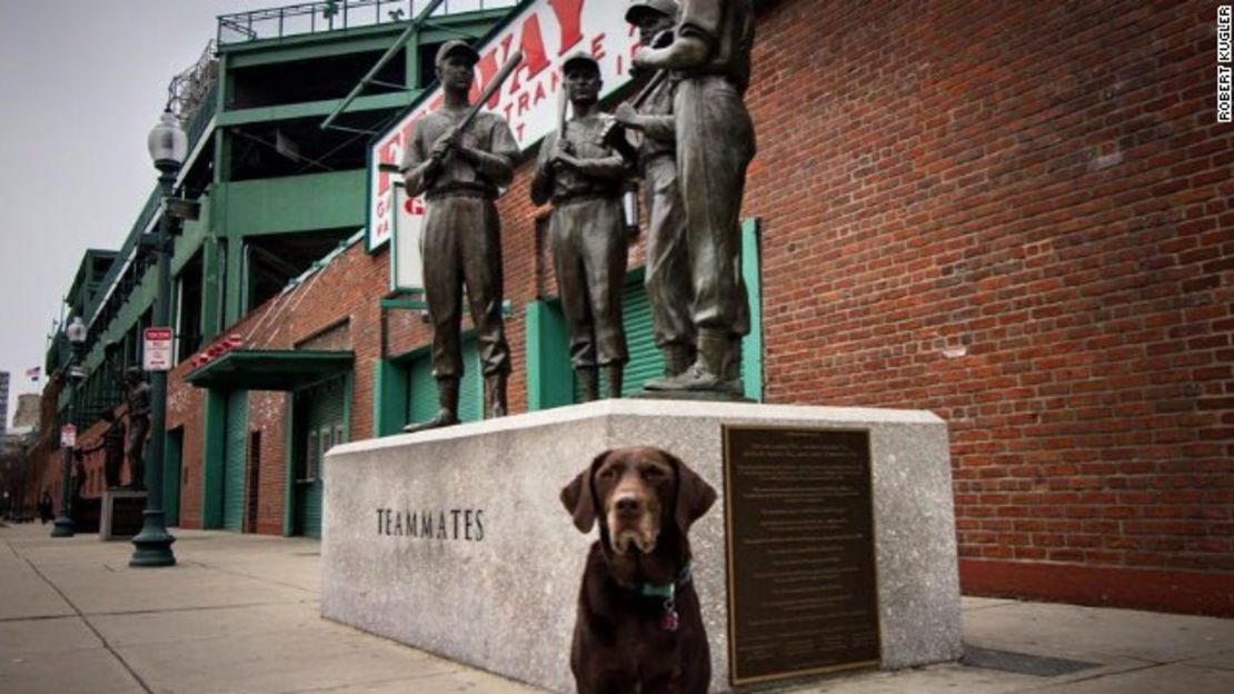 CNNE 72c3f900 - 160713133115-bella-fenway-park-story-top