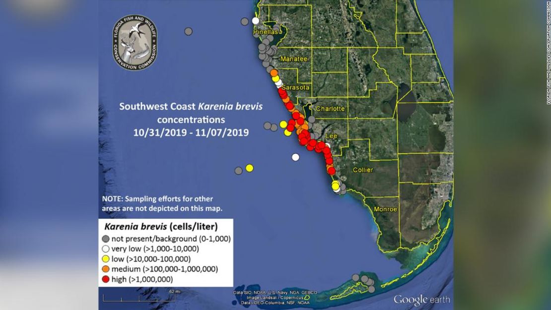 Un mapa de la Comisión de Pesca y Vida Silvestre de Florida, publicado el pasado 8 de noviembre, muestra el alcance de la marea roja actual frente a la costa suroeste de Florida.