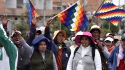 CNNE 733279 - cidh cuestiona decreto del gobierno interino de bolivia