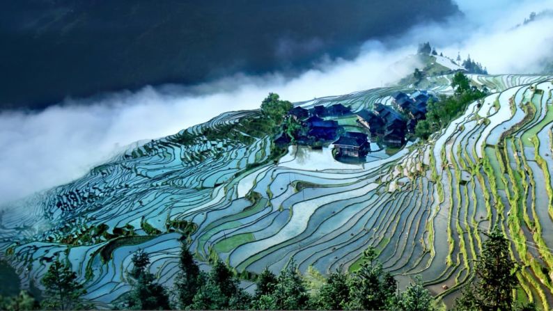 CULTURA -- Provincia de Guizhou, China: Las terrazas arroceras de Jlabang, cerca a Congjiang, se ven mejor durante las lluvias de verano.