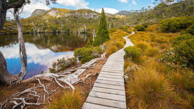 AVENTURA -- Tasmania, Australia: Es el hogar de bosques tropicales, altos alpinos, lagos glaciares y majestuosas montañas.