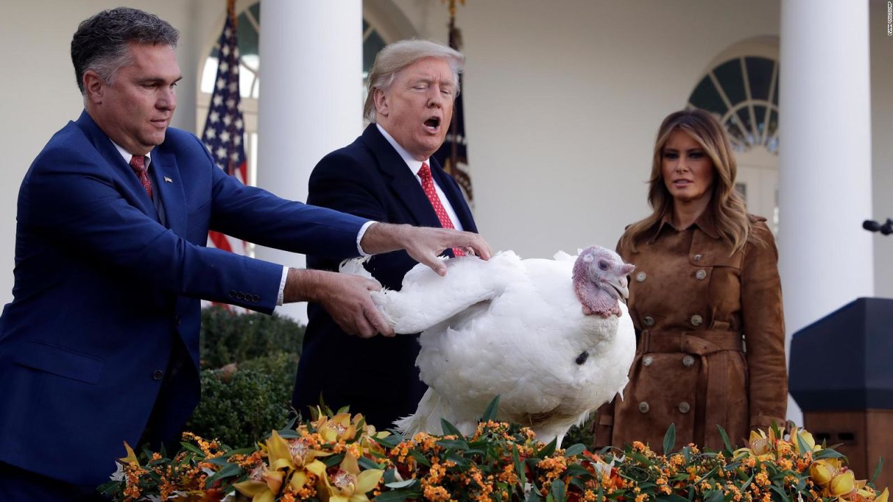 CNNE 737103 - dos pavos se salvaron de ser la cena en accion de gracias