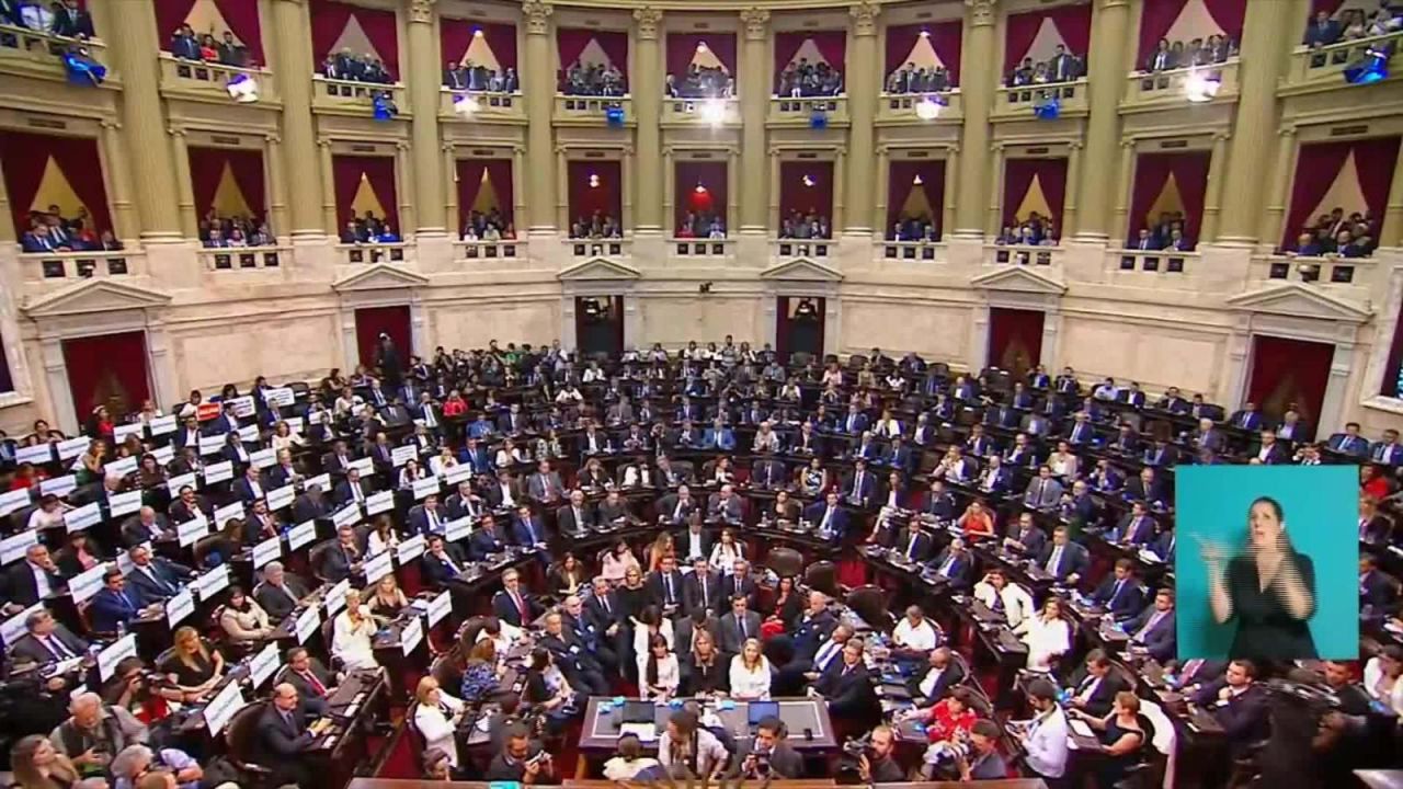 CNNE 743125 - ¿como se divide el poder en el nuevo congreso argentino?