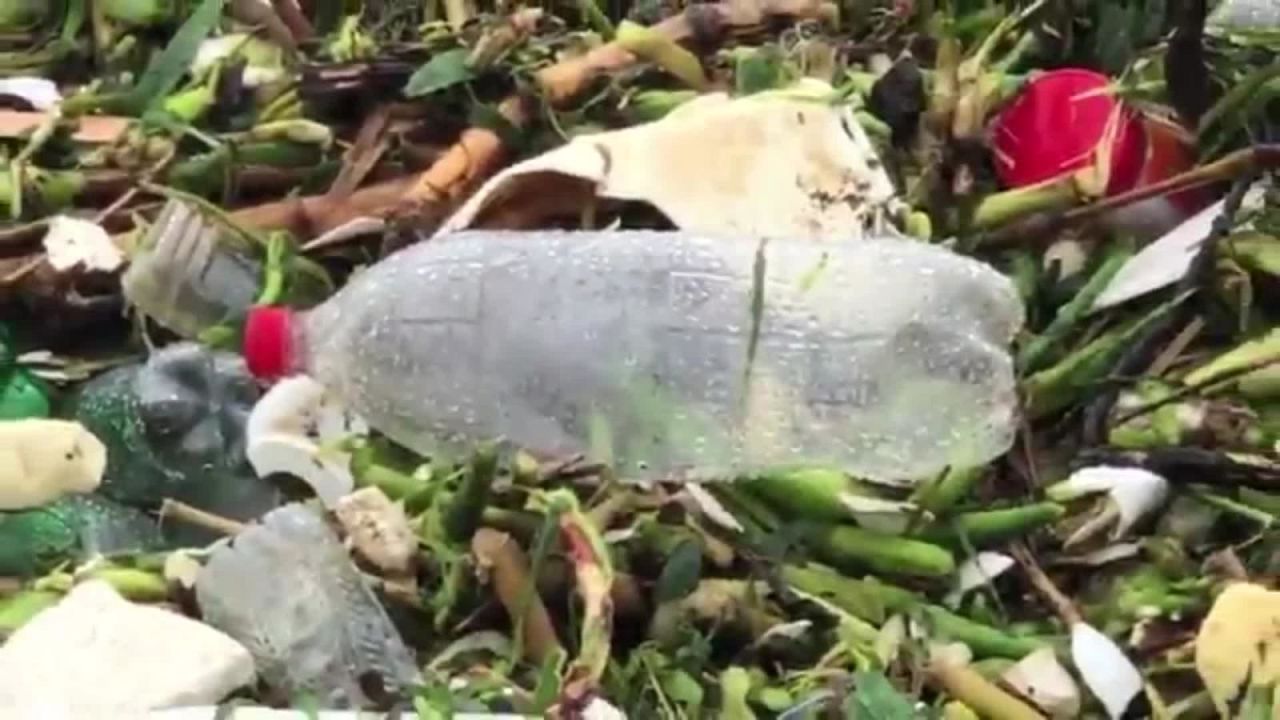 CNNE 745311 - hallan toneladas basura flotante en playa de sudafrica