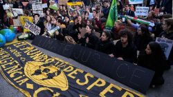 CNNE 745356 - manifestantes estan insatisfechos tras el fin de la cop25