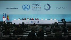 CNNE 745685 - descontento con resultados de cop25