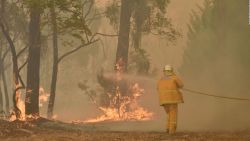 CNNE 748170 - ola de calor sin precedentes en australia