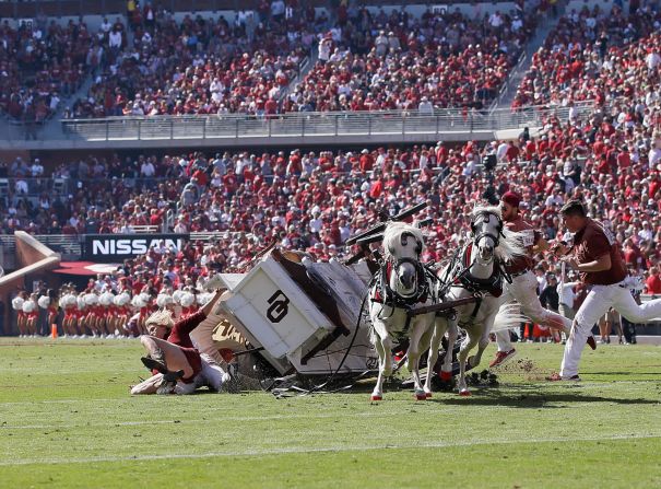 El carro de la Universidad de Oklahoma se estrelló en el campo de fútbol mientras celebraba un touchdown el 19 de octubre. El querido carro tirado por caballos, que estaba lleno de pasajeros, se volcó después de un giro brusco, enviando a los conductores a patinar sobre la hierba. Nadie resultó gravemente herido. David Stacy / Icon Sportswire / Getty Images