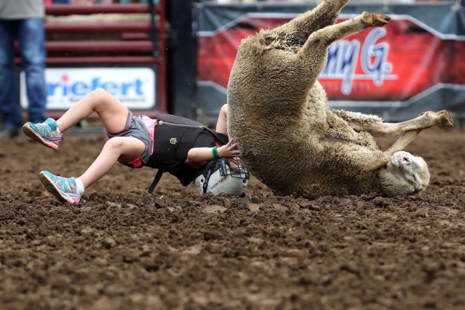 Una niña se cae de una oveja durante una competencia de Mutton Bustin en la Feria estatal de Iowa el 12 de agosto. Chip Somodevilla / Getty Images