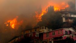 CNNE 750820 - ¿fueron intencionales los incendios en valparaiso?