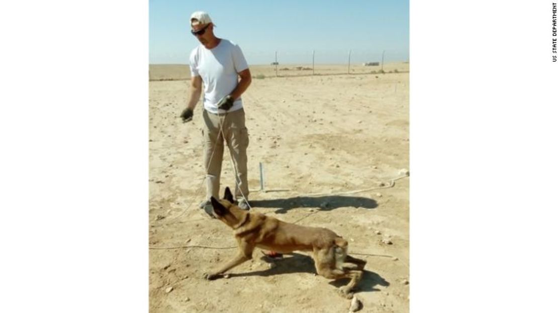 Der, un perro detector de minas retirad, trabajando en Siria.