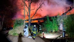 CNNE 752722 - mueren decenas de animales tras incendio en zoologico