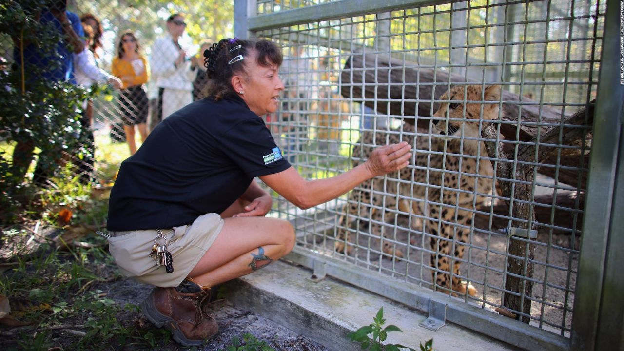 CNNE 753266 - la funcion de los zoologicos, segun ron magill