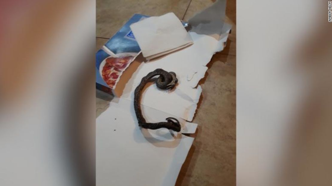 La familia Helm se sorprendió cuando encontró una serpiente dentro de su horno.