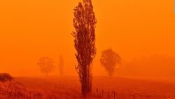 CNNE 754293 - incendios tinen el cielo de naranja en australia