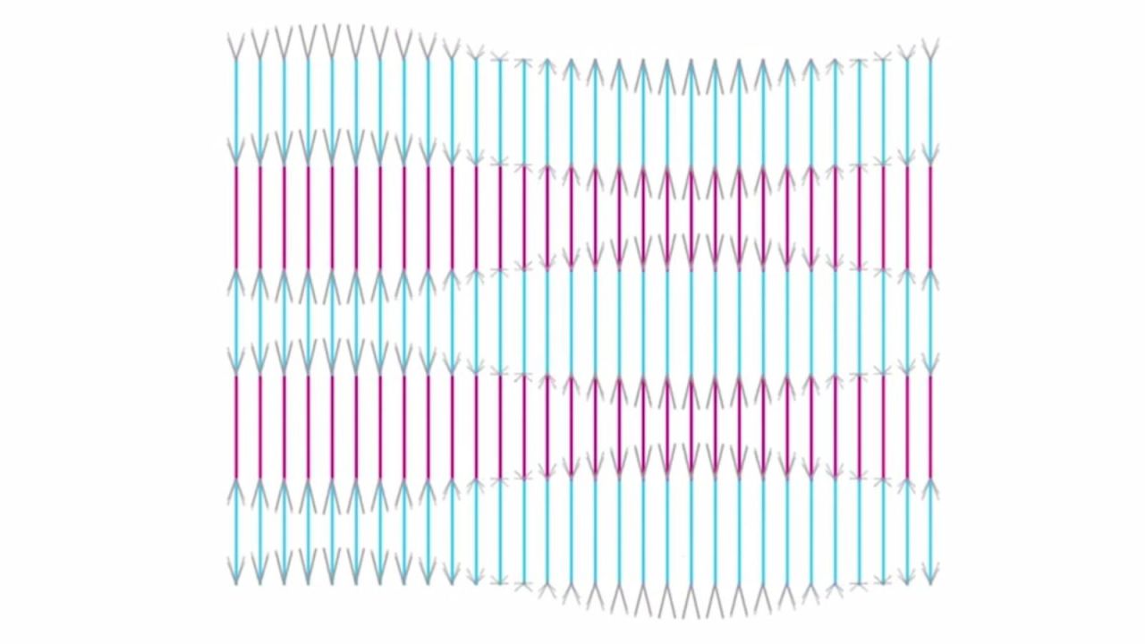 CNNE 755826 - ilusion optica viral- ¿se mueven las lineas?