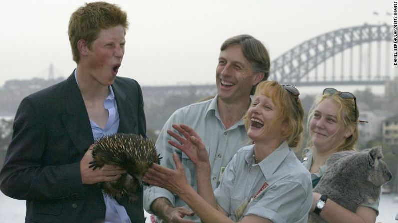 Enrique carga un erizo en el zoológico Taronga de Sydney en 2003. Daniel Berehulak/Getty Images