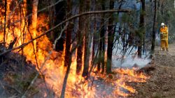 CNNE 762087 - ¿impacta el humo de incendios y volcanes en el ecosistema?