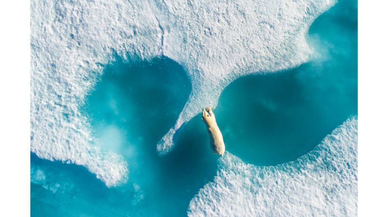 Segundo lugar, categoría Planeta en peligro: las imágenes que el fotógrafo francés Florian Ledoux presentó al concurso incluían esta fotografía de un oso polar saltando entre trozos de hielo en Nunavut, Canadá.