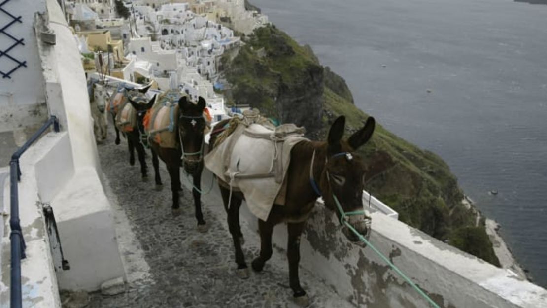 Los burros son el medio de transporte tradicional en Santorini.Todd Warshaw / Getty Images