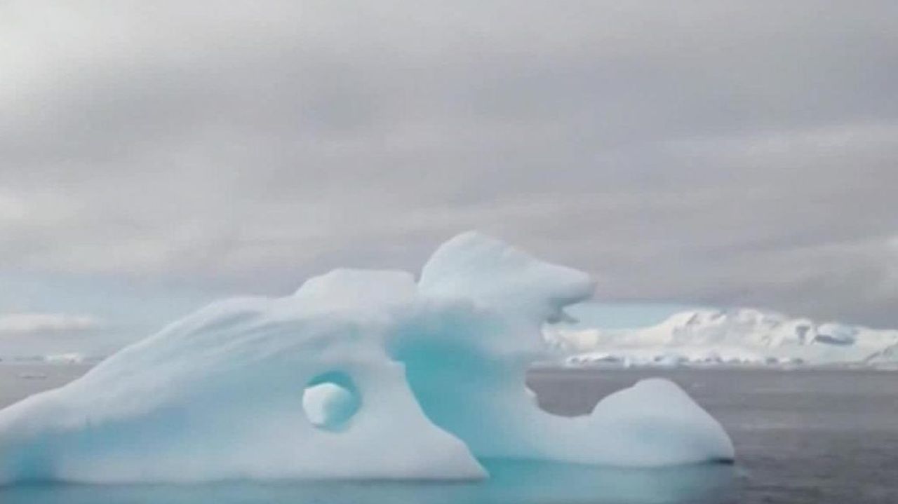 CNNE 772492 - las altas temperaturas derriten los glaciales de la antartida