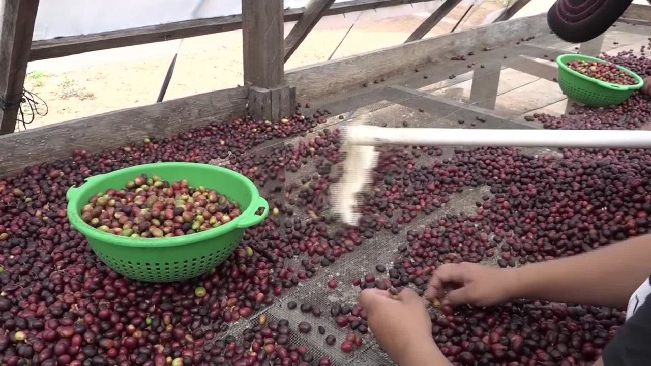 CNNE 775442 - inauguran planta de cafe en honduras