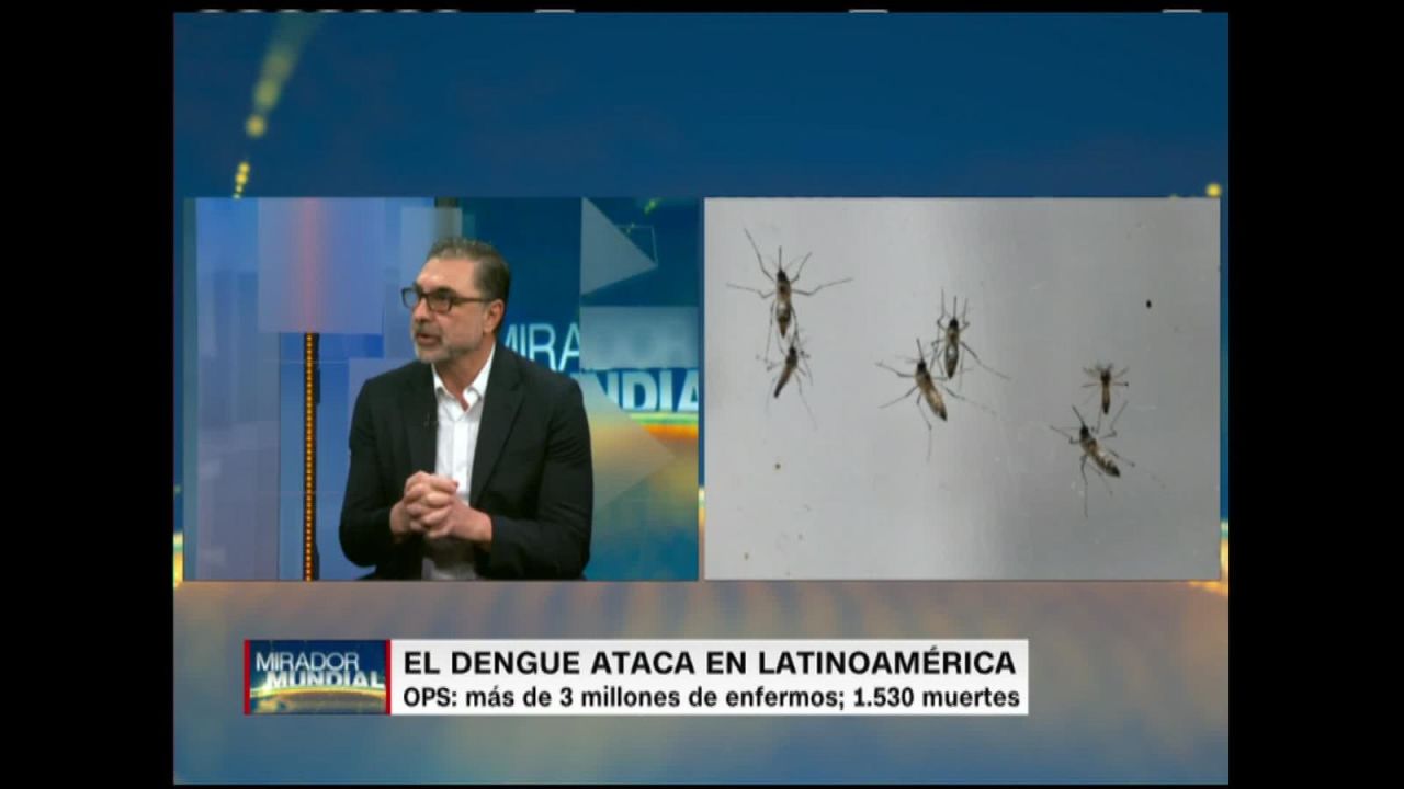 CNNE 776785 - ¿cuales son los sintomas del dengue?