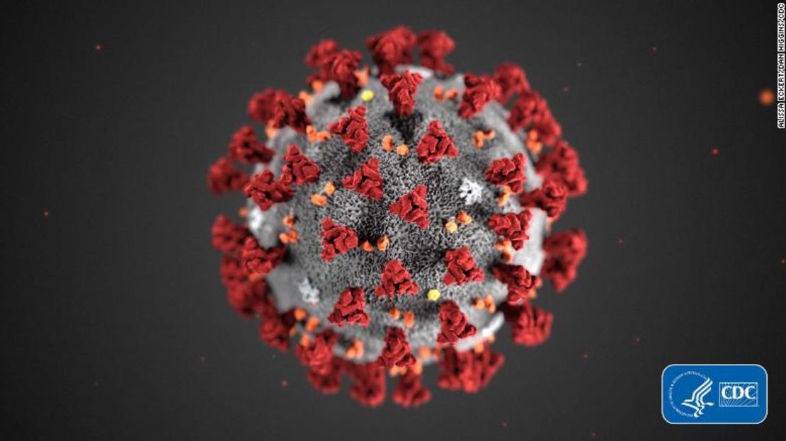 CNNE 777473 - cnn coronavirus imagen