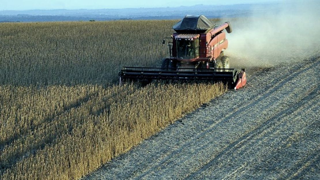 ¿Qué va a pasar con el campo?