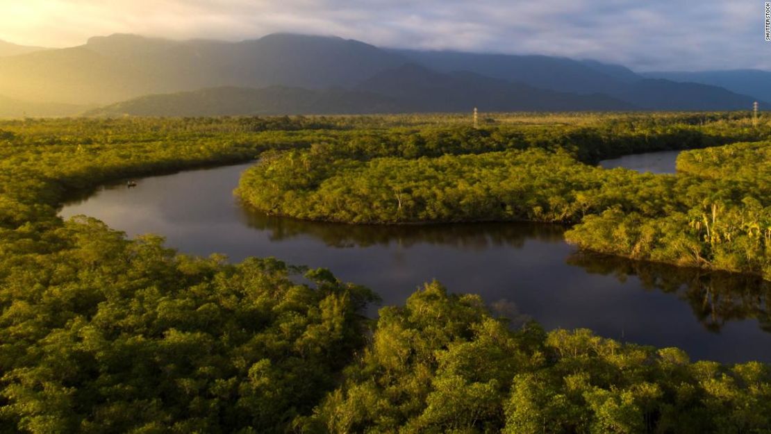 Algunos científicos aseguran que la selva amazónica ya enfrenta su punto de no retorno.